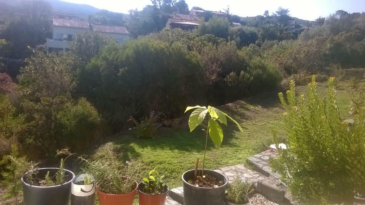 Studio In Porticcio Porticcio (Corsica) Exterior photo