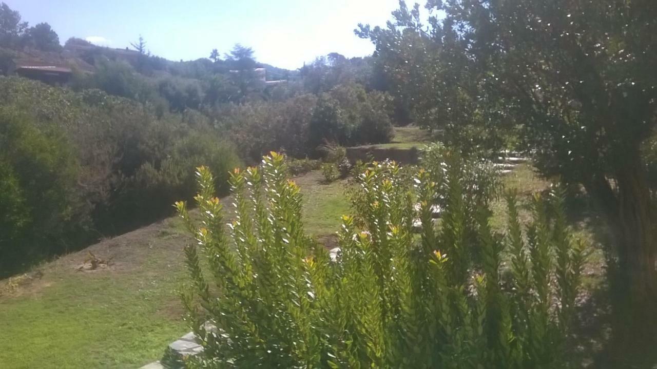 Studio In Porticcio Porticcio (Corsica) Exterior photo